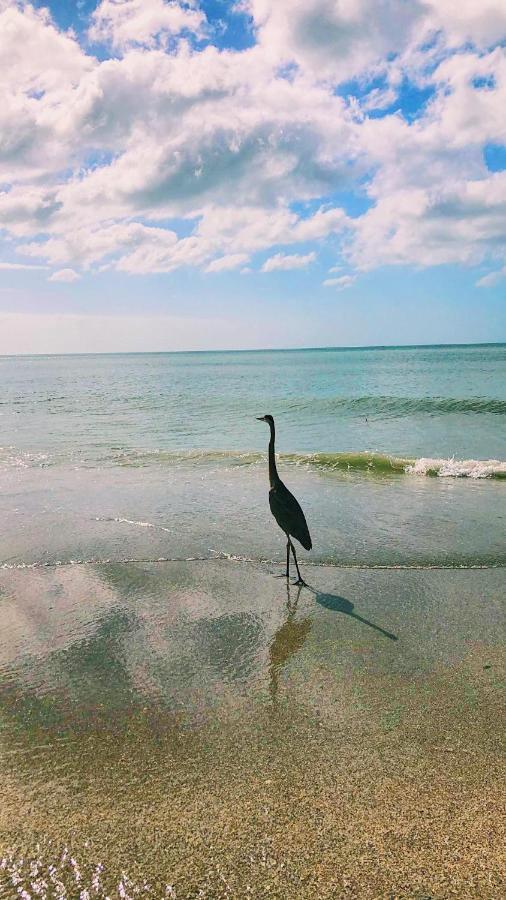 Holiday Isles Resort マデイラビーチ エクステリア 写真